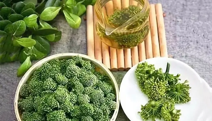 Hoa tam thất hỗ trợ an thần, cải thiện giấc ngủ hiệu quả