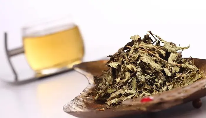 Lá vông là một trong số các bài thuốc chữa mất ngủ hiệu quả