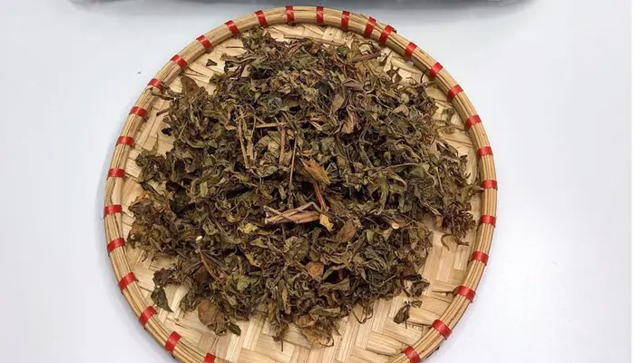Bài thuốc từ lá đinh lăng hỗ trợ mất ngủ do suy nhược