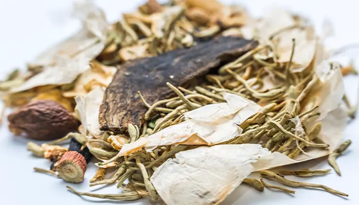 Bệnh Parkinson theo y học cổ truyền là sự kết hợp giữa khí huyết hư, can uất, đàm nhiệt