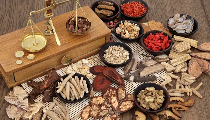 Thể can thận âm hư, đờm nhiệt sinh phong