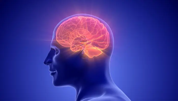 Chấn thương não cũng là yếu tố làm tăng nguy cơ mắc bệnh Parkinson