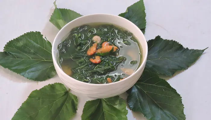 Có thể dùng lá dâu tằm trong món ăn như nấu canh
