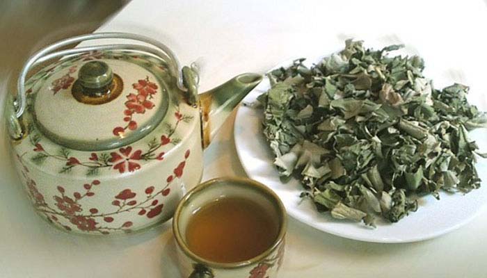 Lá vông có thể sắc nước uống hoặc chế biến món ăn 