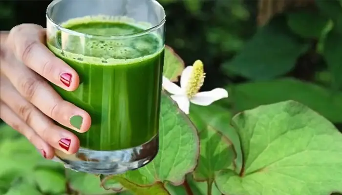 Cách dùng rau diếp cá trị mất ngủ là làm nước ép 