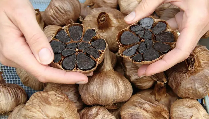 Nên dùng tỏi đen với liều lượng hợp lý để đạt hiệu quả sử dụng tốt