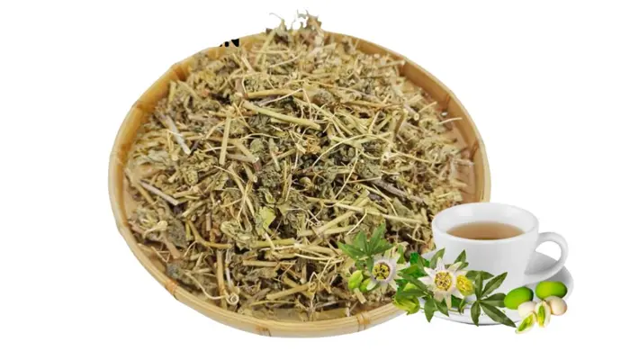 Cách sử dụng cây lạc tiên chữa mất ngủ hiệu quả cho người bệnh 