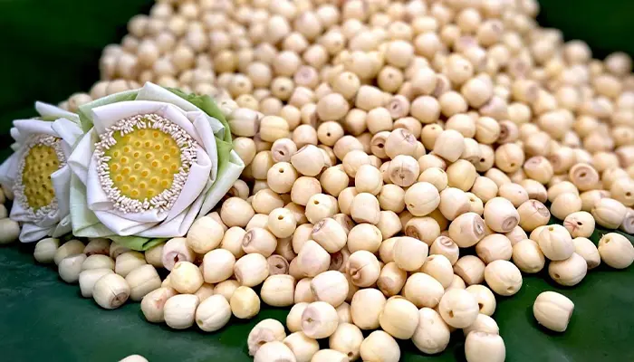 Nên sử dụng hạt sen với lượng vừa phải và trước 1-2 giờ trước khi ngủ