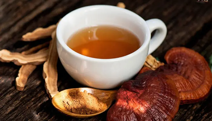 Nấm linh chi có thể được sử dụng dưới dạng sắc nước uống 