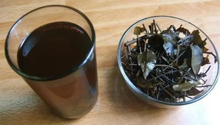 Uống nhân trần có mất ngủ không? Không nhưng cần uống đúng liều lượng