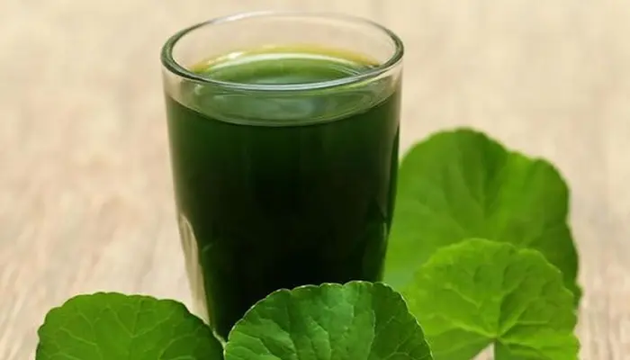 Chỉ nên dùng khoảng 30-40g rau má tươi mỗi ngày