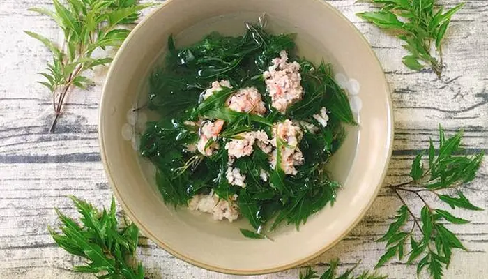 Món canh tôm lá đinh lăng phù hợp cho người mất ngủ