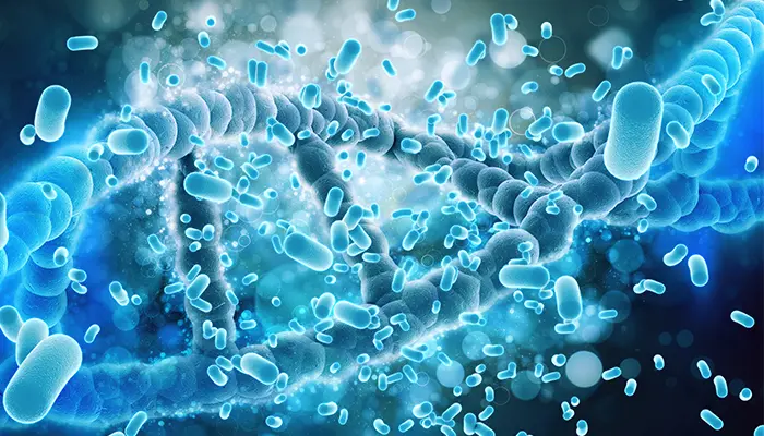 Chữa bệnh Parkinson bằng tế bào gốc kỳ vọng hỗ trợ phục hồi chức năng vận động