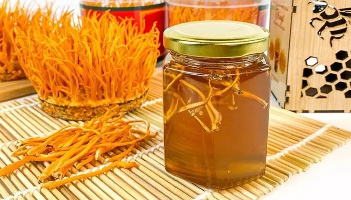 Đông trùng hạ thảo ngâm mật ong dễ uống