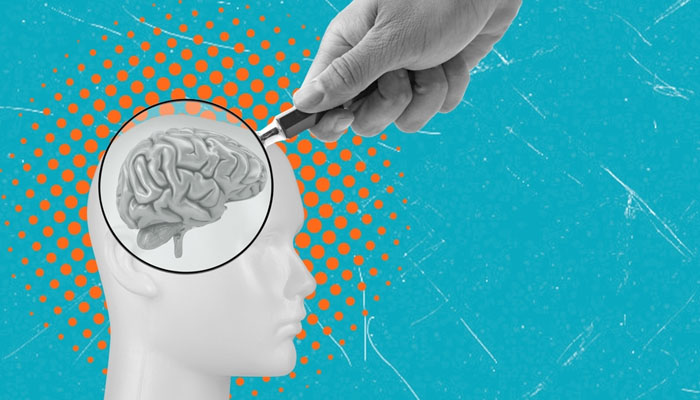 Giấc ngủ cũng quan trọng đến hoạt động của não bộ