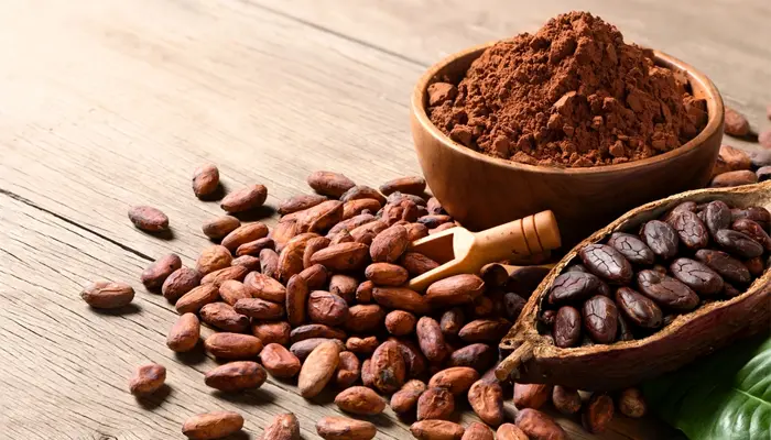 Ca cao mang lại nhiều lợi ích cho sức khỏe 