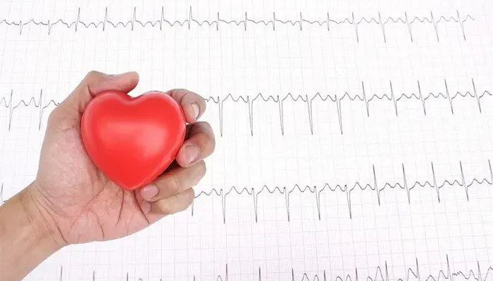 Trà shan tuyết có lợi ích giúp hỗ trợ bảo vệ sức khỏe tim mạch