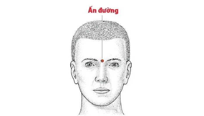 Massage huyệt Ấn Đường giúp thư giãn và giảm căng thẳng