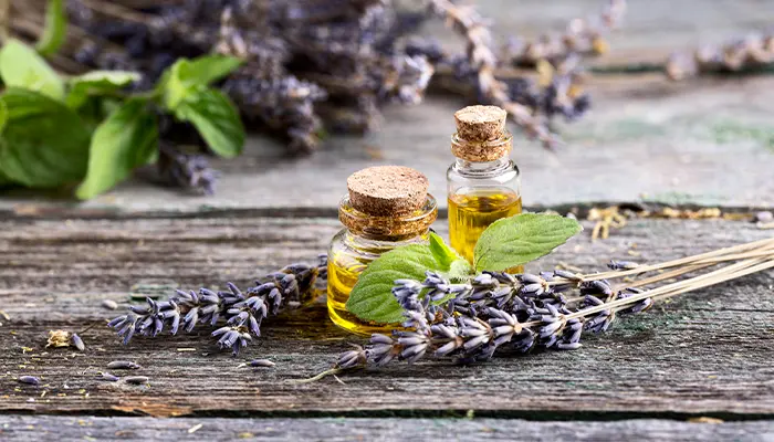 Tinh dầu oải hương cũng giúp thư thái, dễ chịu, dễ chìm vào giấc ngủ 