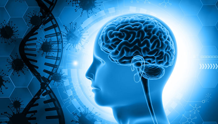 Nguyên nhân bệnh động kinh là do yếu tố di truyền