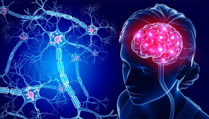 Sự thay đổi trong hoạt động của não bộ là nguyên nhân gây sợ ngủ