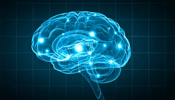 Gen di truyền cũng là yếu tố có nguy cơ mắc bệnh Alzheimer