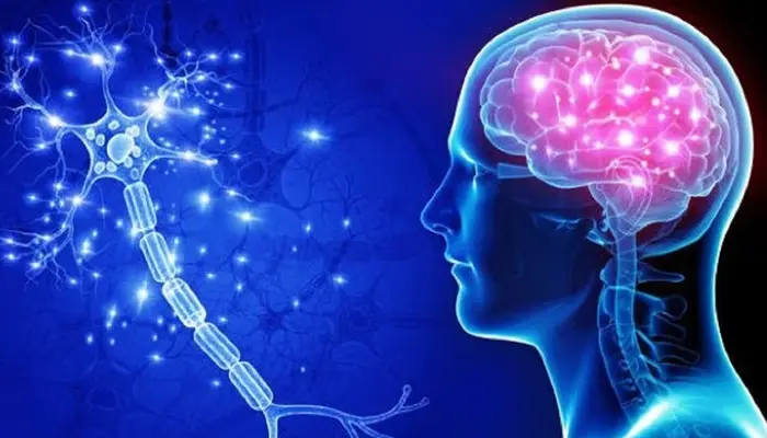 Nguyên nhân bệnh Alzheimer xuất phát từ tích tụ bất thường của protein trong não