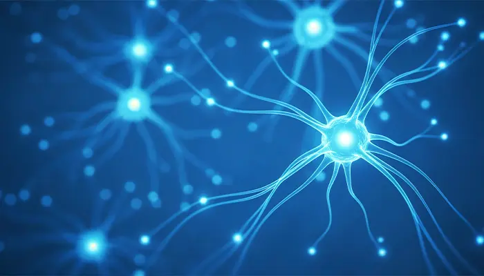 Nguyên nhân gây trầm cảm không điển hình có thể xuất phát từ sự mất cân bằng của chất dẫn truyền thần kinh