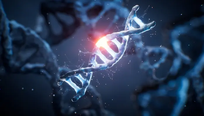 Yếu tố di truyền là một trong các nguyên nhân gây rối loạn lo âu