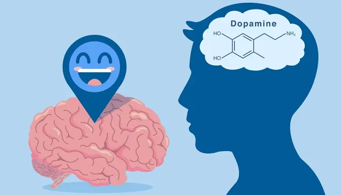 Thiếu hụt dopamine là nguyên nhân gây ra chứng táo bón ở người bệnh Parkinson 
