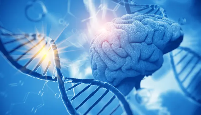 Nguyên nhân rối loạn lưỡng cực yếu tố di truyền