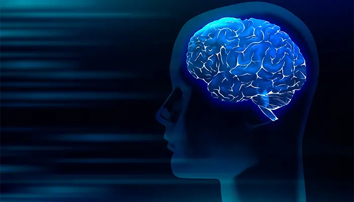 Rối loạn các chất dẫn truyền thần kinh cũng là nguyên nhân gây trầm cảm ở nam giới 