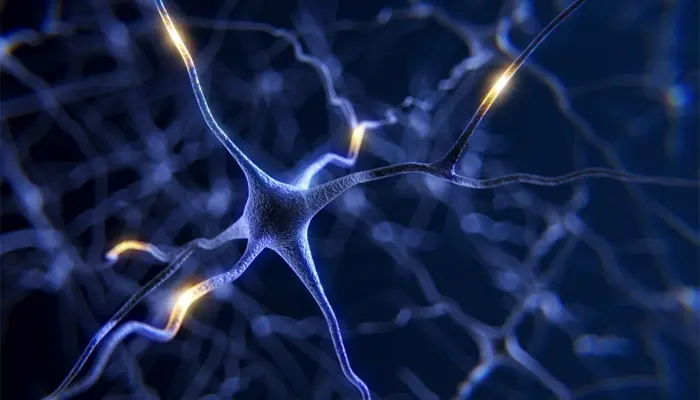 Nguyên nhân khiến trẻ mắc bệnh Parkinson có thể là do sự rối loạn của tế bào thần kinh 