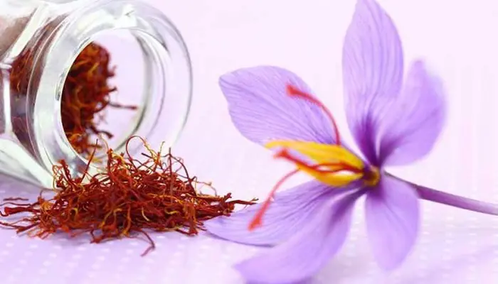 Nhụy hoa nghệ tây là thảo dược giúp xoa dịu thần kinh, giảm căng thẳng, ngủ ngon