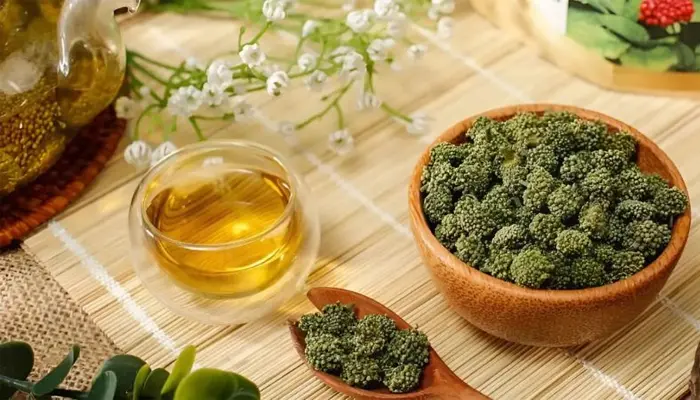 Nụ hoa tam thất chứa nhiều hoạt chất tốt cho sức khỏe người rối loạn lo âu