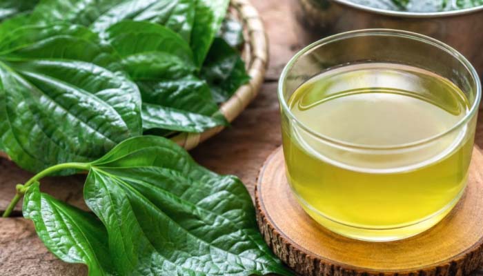Cách dùng lá lốt chữa mất ngủ là sắc lấy nước uống