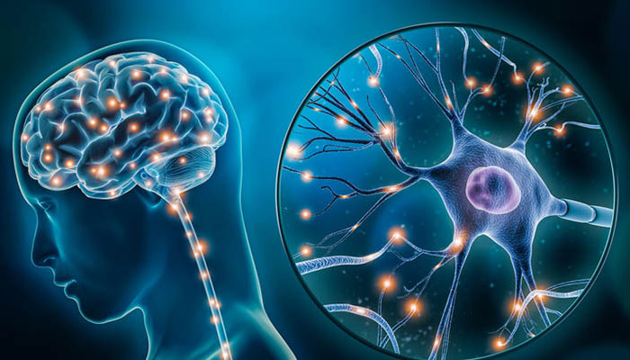 Tác hại của bệnh động kinh gây ảnh hưởng đến hệ thống thần kinh