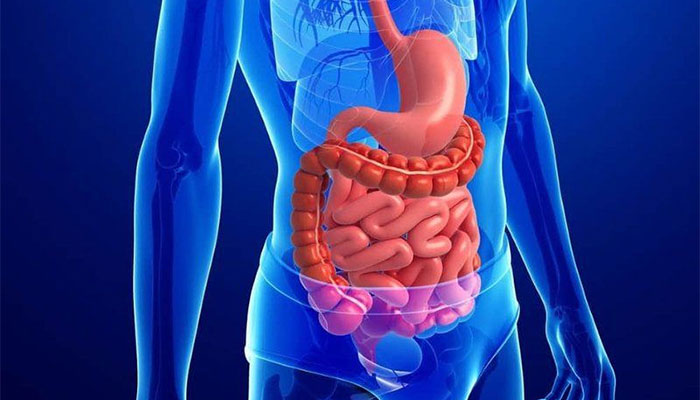 Động kinh làm gây ra vấn đề tiêu hóa như buồn nôn