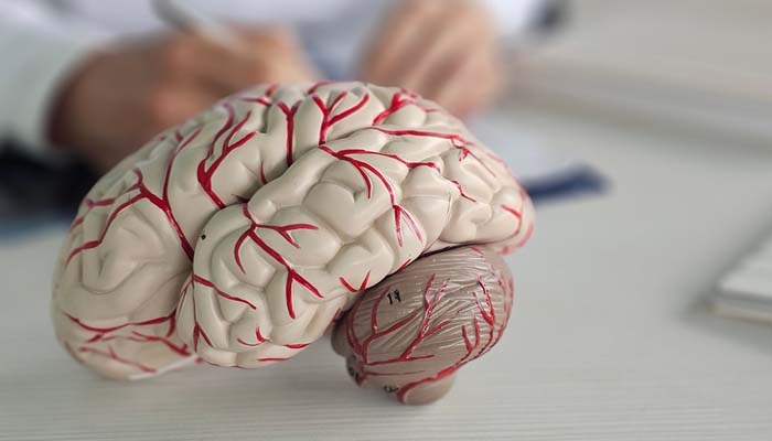 Nghiện rượu kéo dài sẽ làm suy giảm chức năng não bộ 