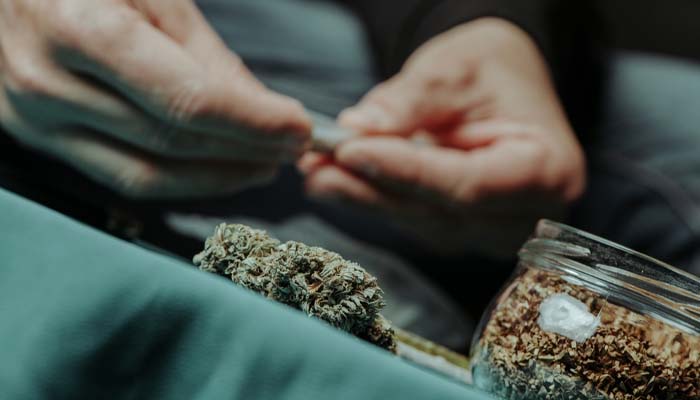 Tác hại của loạn thần do cần sa là gia tăng nguy cơ sử dụng chất gây nghiện khác 