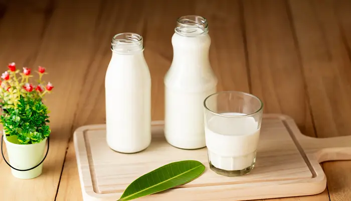Sữa chứa nhiều thành phần dinh dưỡng có lợi cho sức khỏe và giấc ngủ