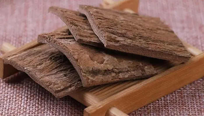Đỗ trọng bổ can, bổ thận, hỗ trợ cải thiện giấc ngủ ở người cao tuổi