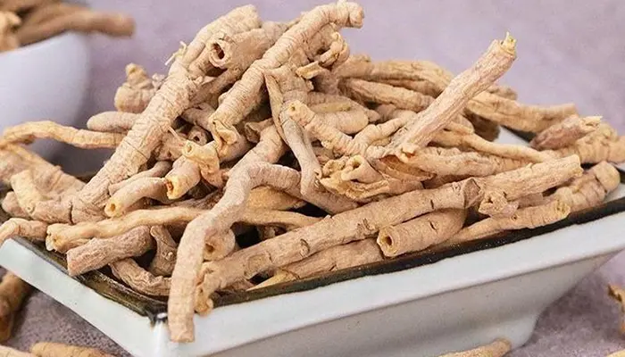 Viễn chí là một trong số các loại thảo dược trị mất ngủ ở người già tốt