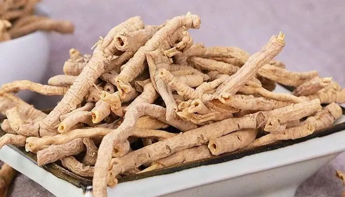 Viễn chí là loại thảo dược giúp hỗ trợ giảm căng thẳng, ngủ sâu giấc