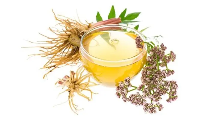 Trà nữ lang có tác dụng hỗ trợ thư giãn, cải thiện giấc ngủ