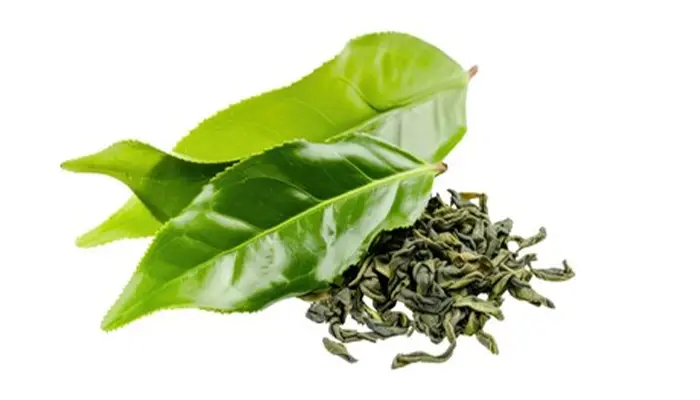 Trà xanh là loại trà được làm từ lá chè tươi có nhiều công dụng tốt cho sức khỏe 