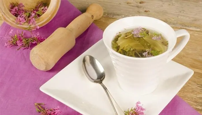 Cây nữ lang có thể sử dụng dưới dạng dùng trà uống
