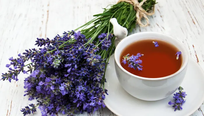 Trà oải hương giúp tinh thần dễ chịu và giảm căng thẳng