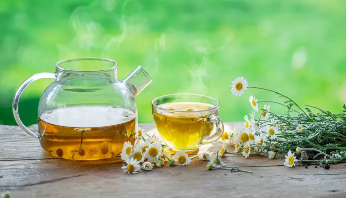 Uống trà hoa cúc có bị mất ngủ không? Không gây mất ngủ nếu dùng đúng cách 