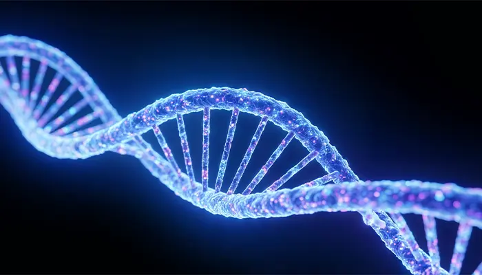 Di truyền cũng là một trong yếu tố tăng nguy cơ mắc bệnh Alzheimer